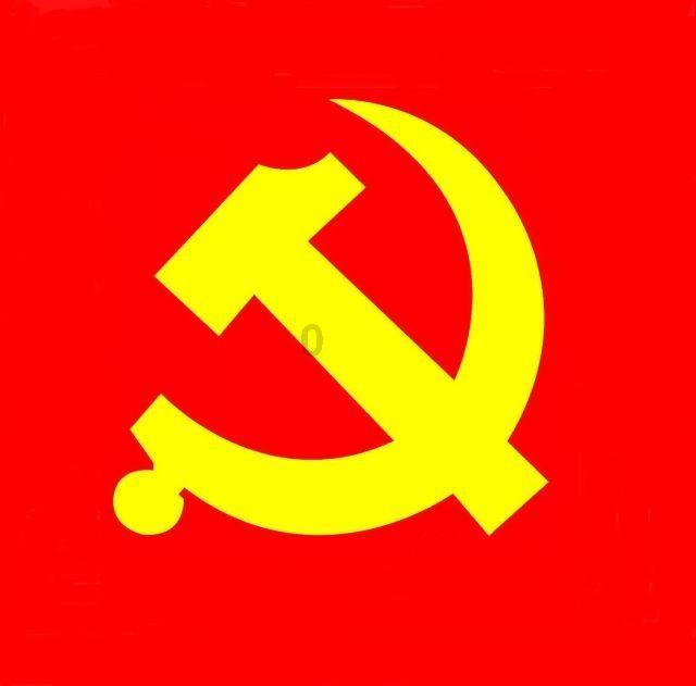 拯救卡通獾
