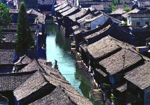 大山羔羊逃生